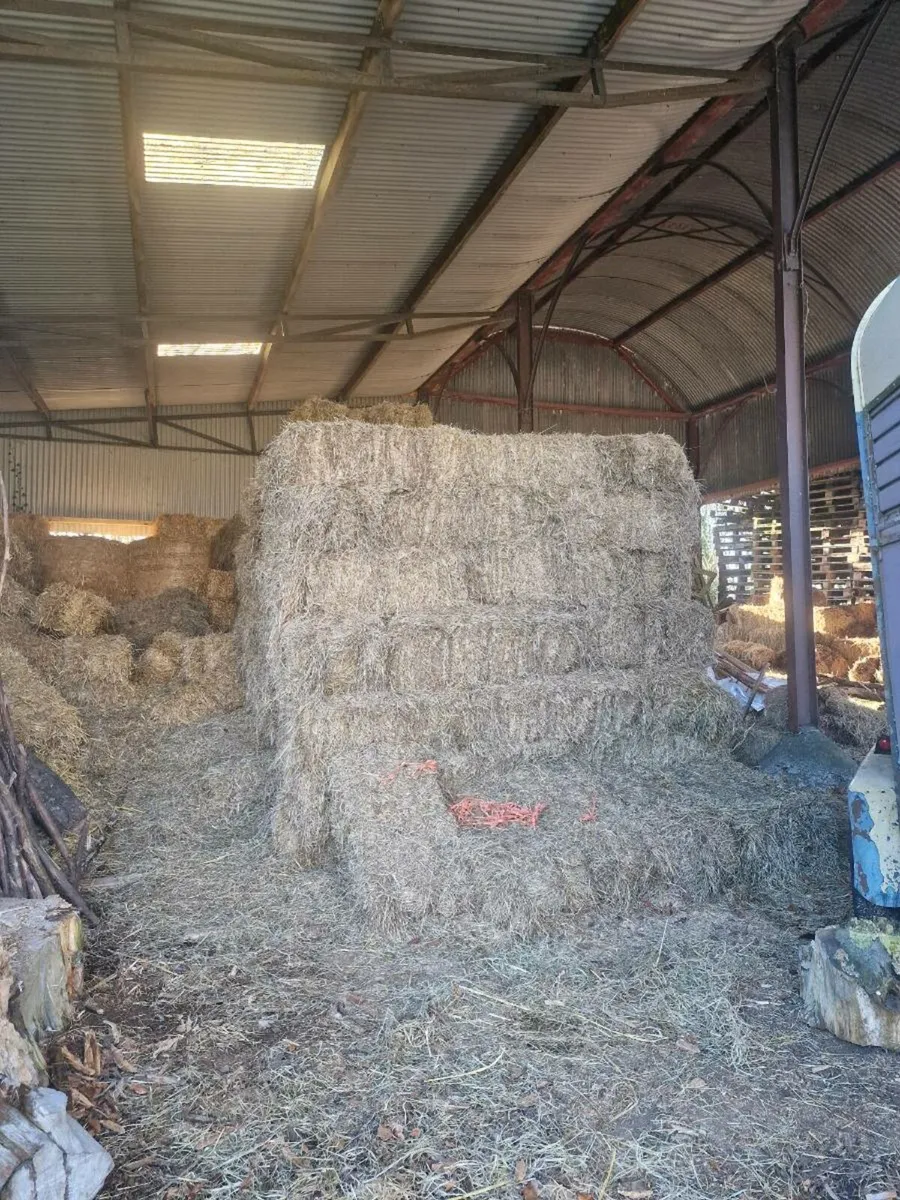 Small square bales of non certified organic hay