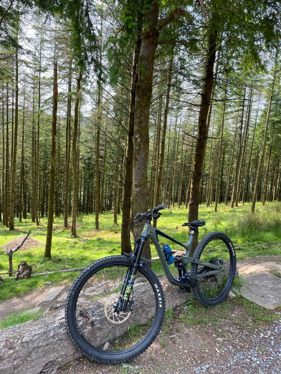 Mountain bike - Image 1