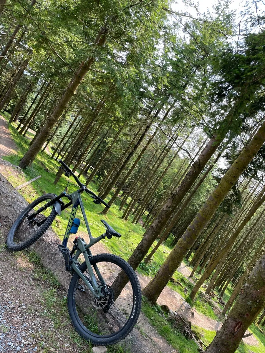 Mountain bike - Image 2