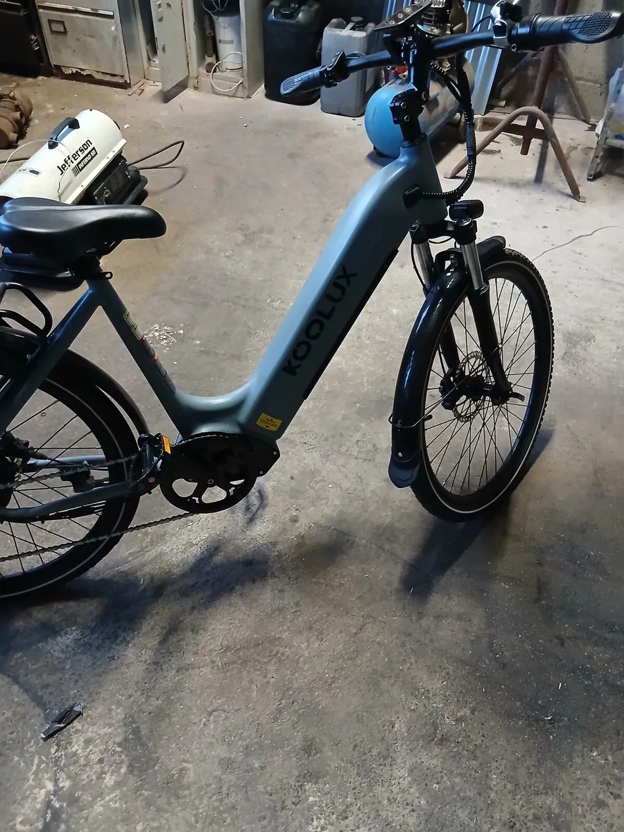 Ebike - Image 3