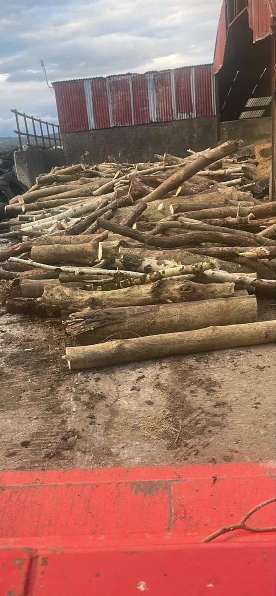 Firewood bulk bags - Image 2