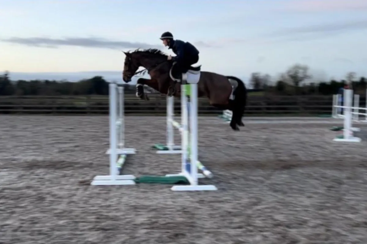 Flashy little jumper - Image 1