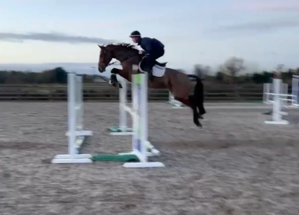 Flashy little jumper - Image 2