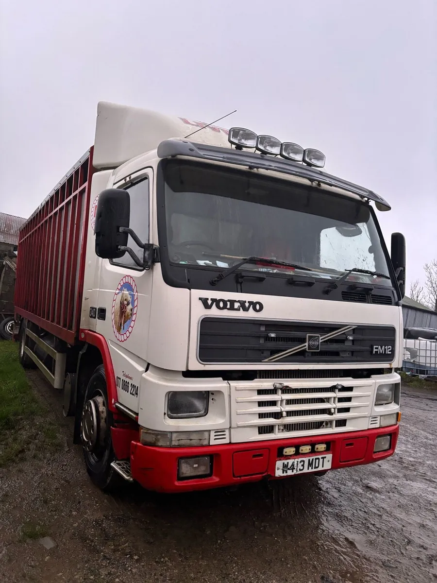 Volvo fm 12 cattle lorry - Image 3