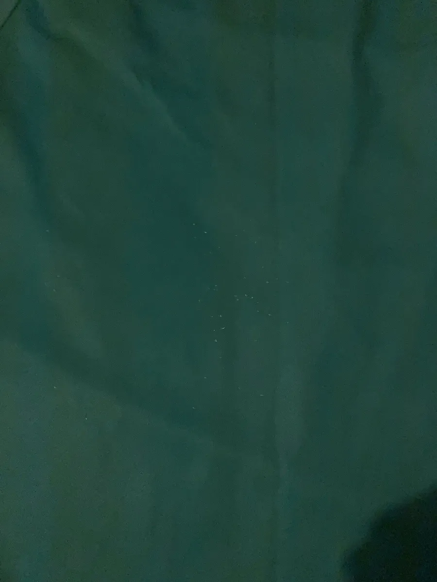 Tayto gaa jersey free postage - Image 2