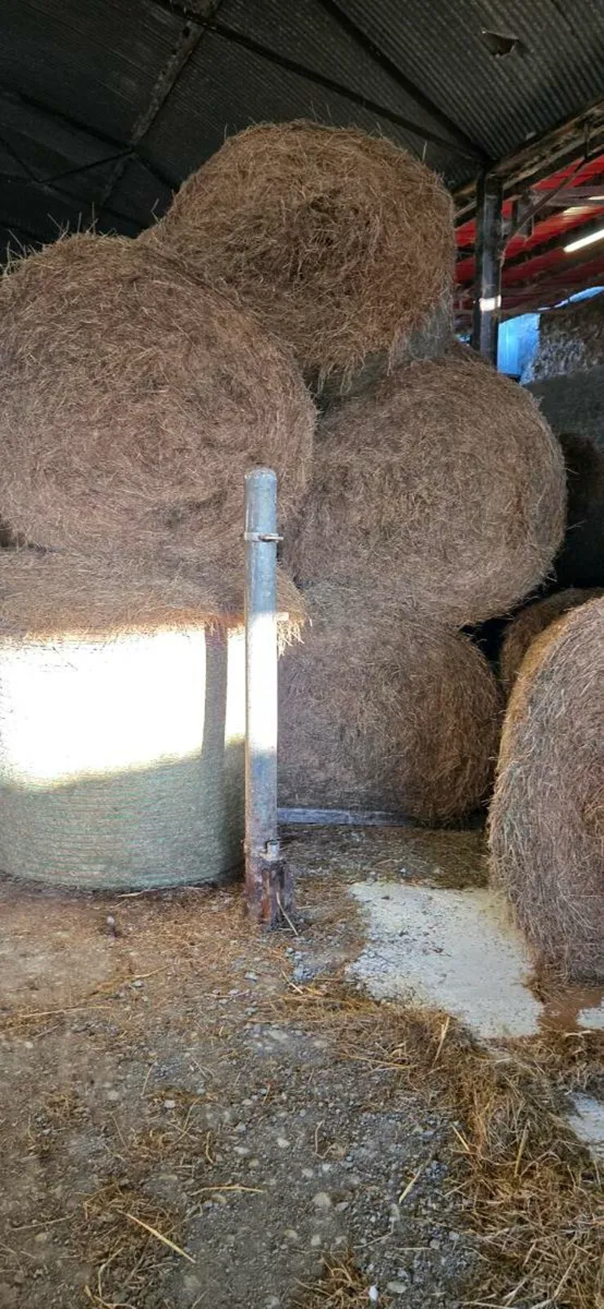 Hay for sale