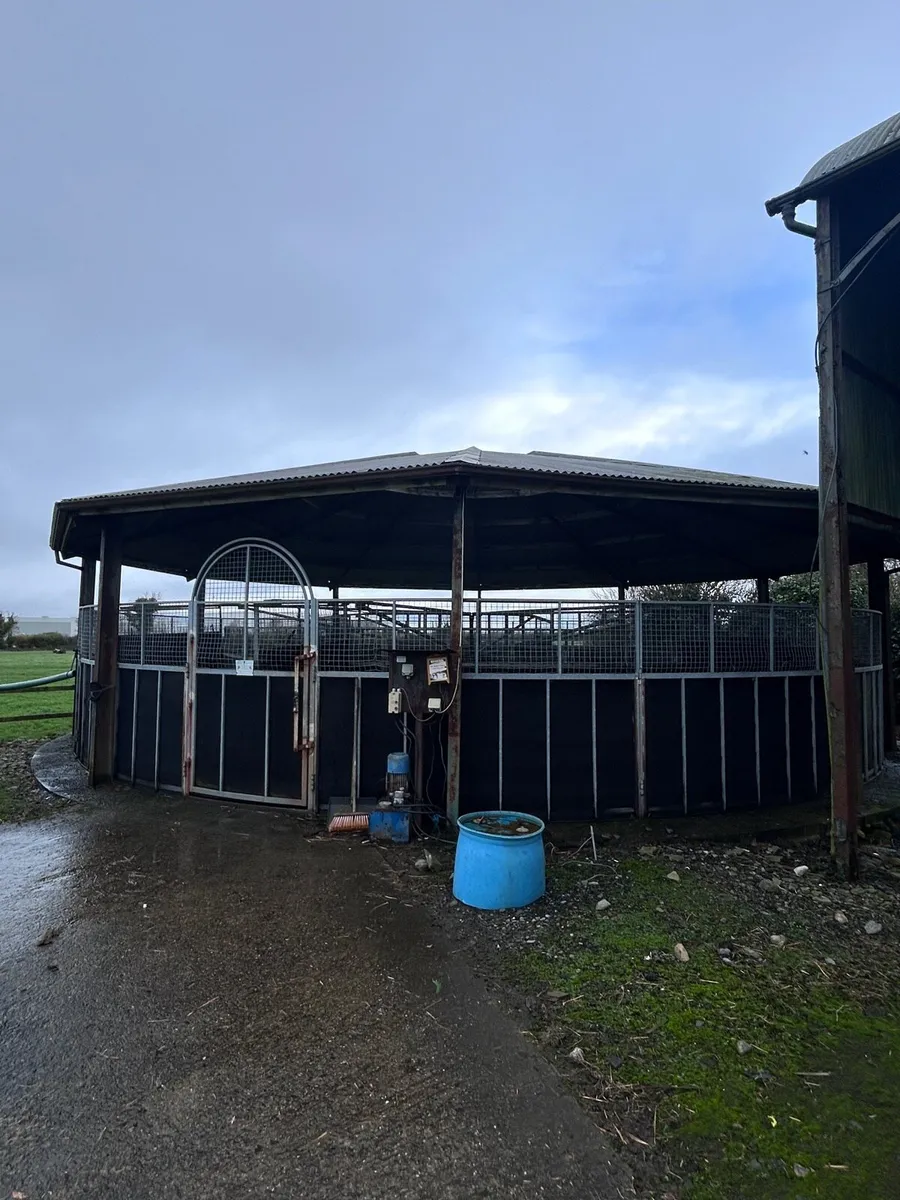 6 bay horse walker with roof - Image 2