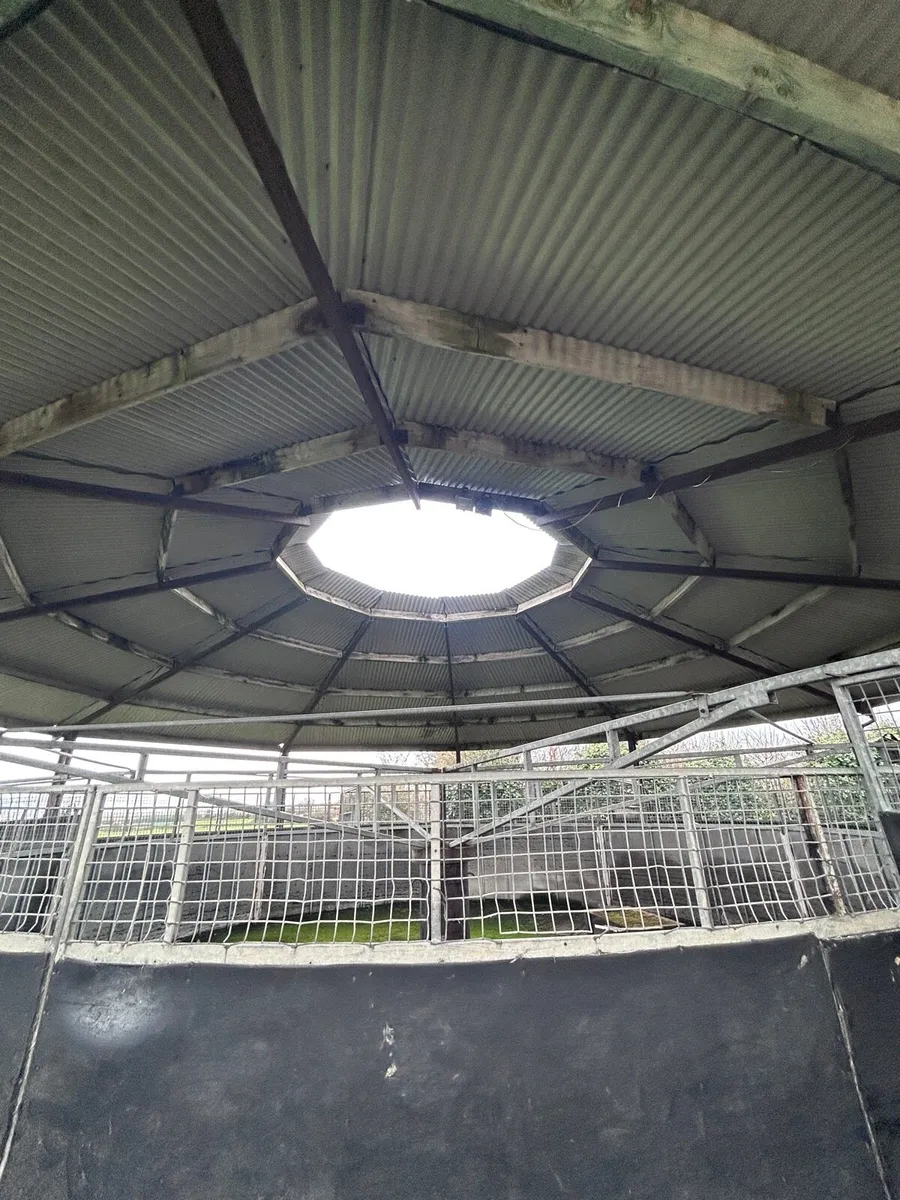 6 bay horse walker with roof - Image 3