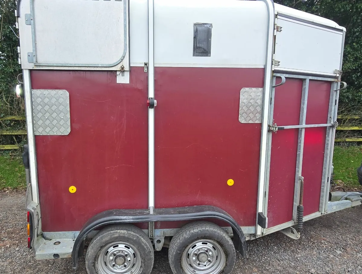 Ifor Williams 505 Horse Box - Image 2