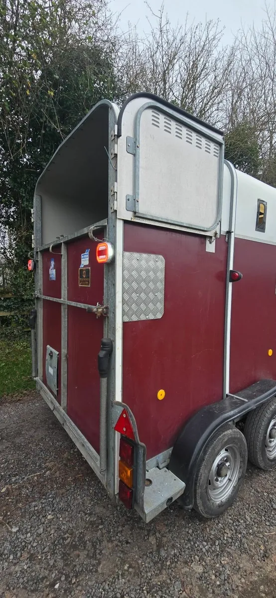 Ifor Williams 505 Horse Box - Image 4