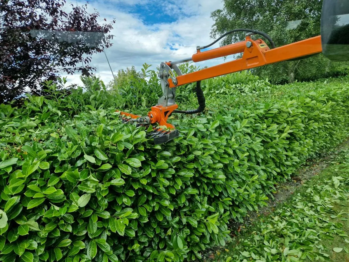 Rinieri brm 150 Hedgecutter - Image 3