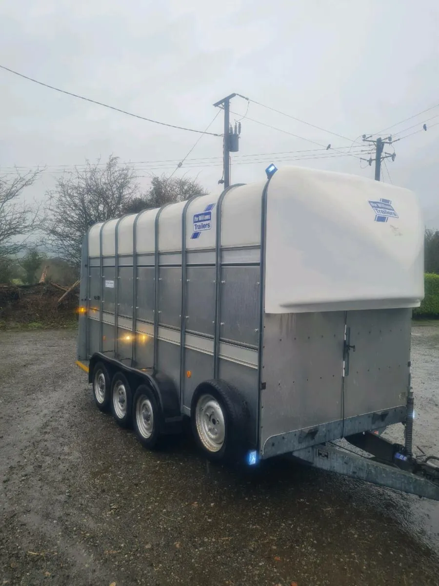 Ifor williams 14 x 6 trailer - Image 4