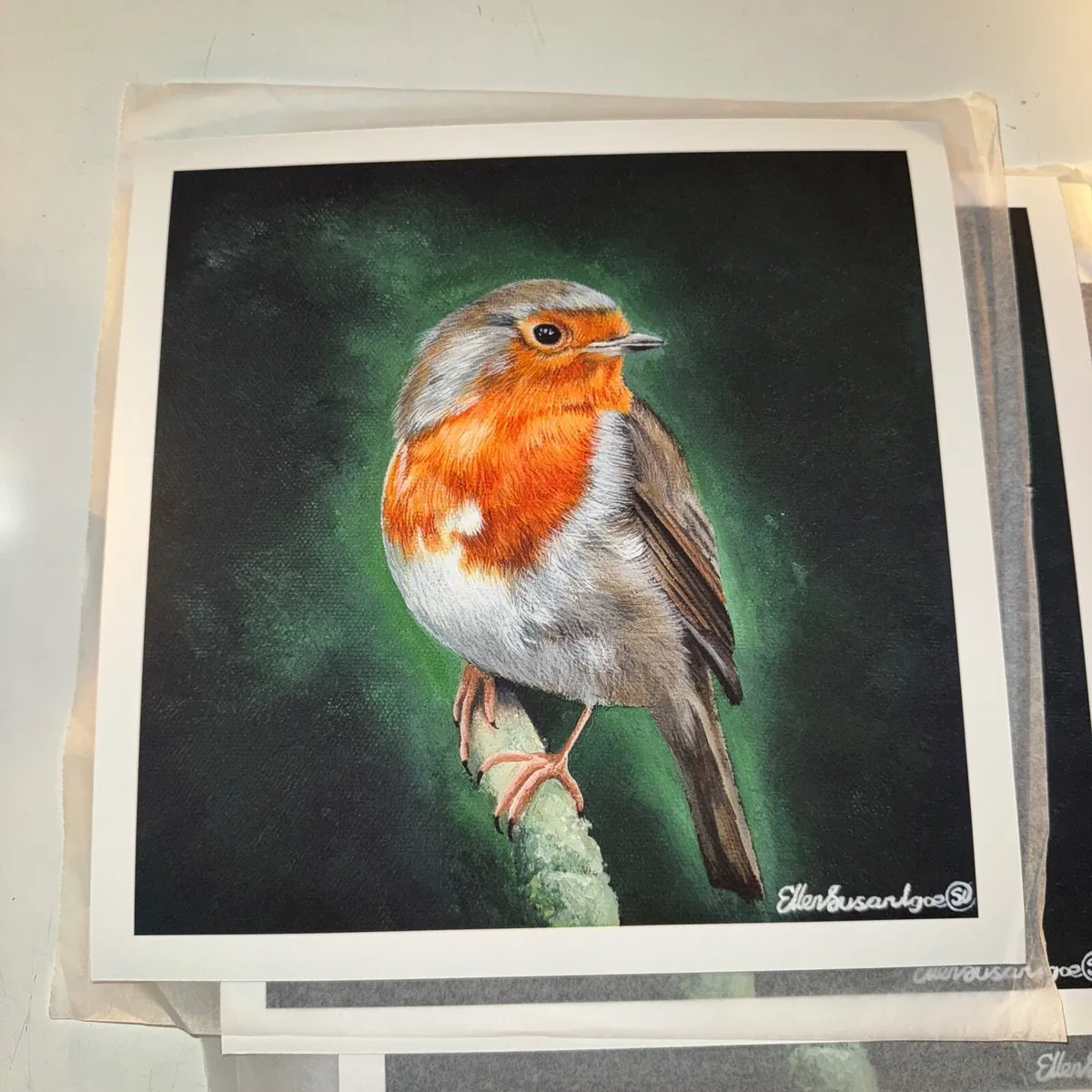 Robin Limited Edition Prints - Image 1