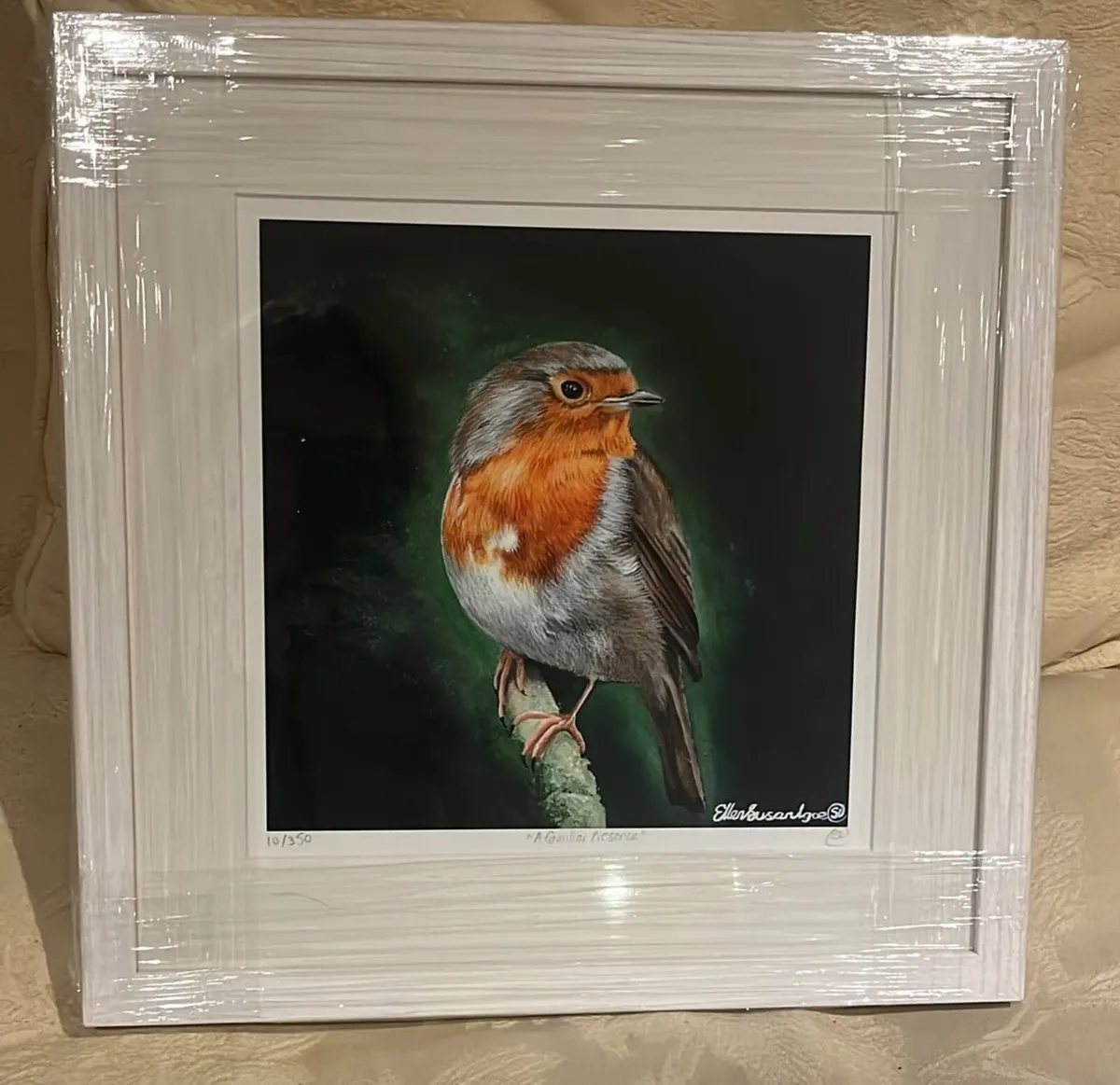 Robin Limited Edition Prints - Image 2