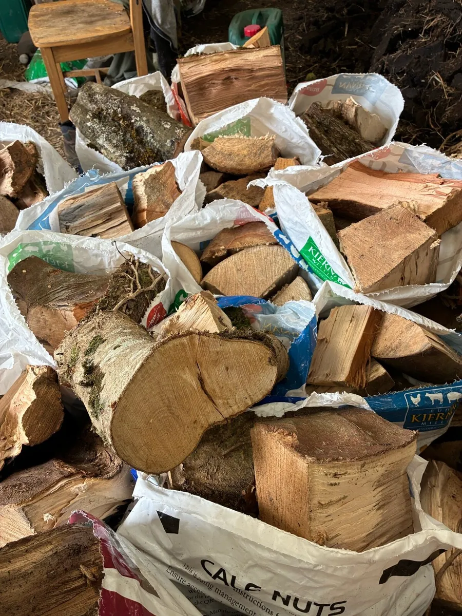 Firewood - Image 1
