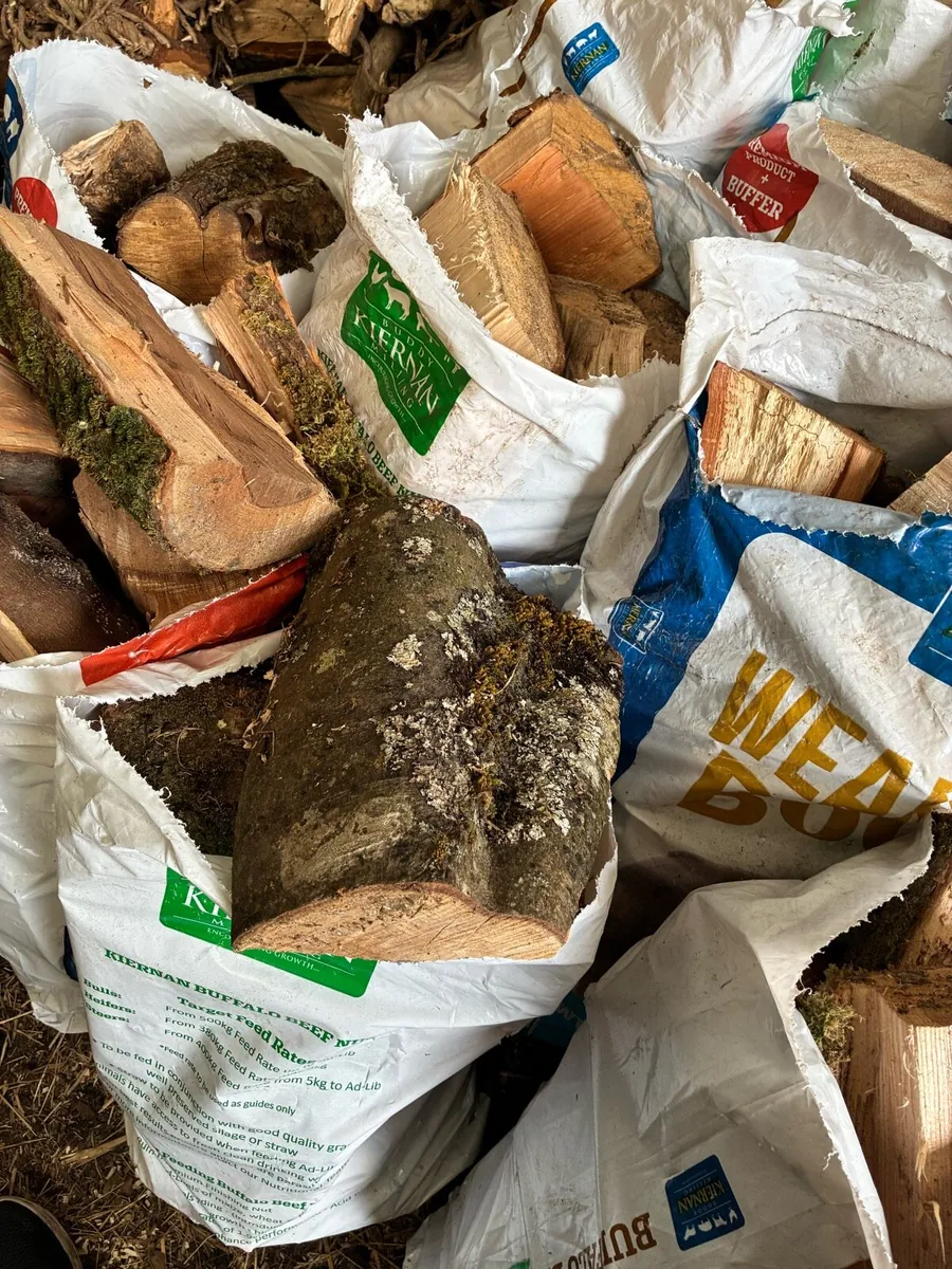 Firewood - Image 2