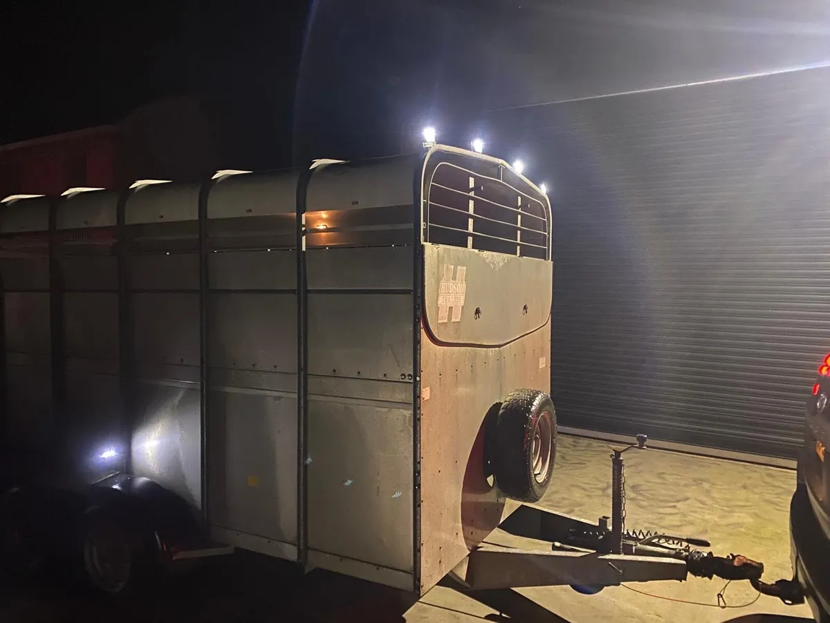 14ft Tri-Axle Cattle Trailer - Image 1
