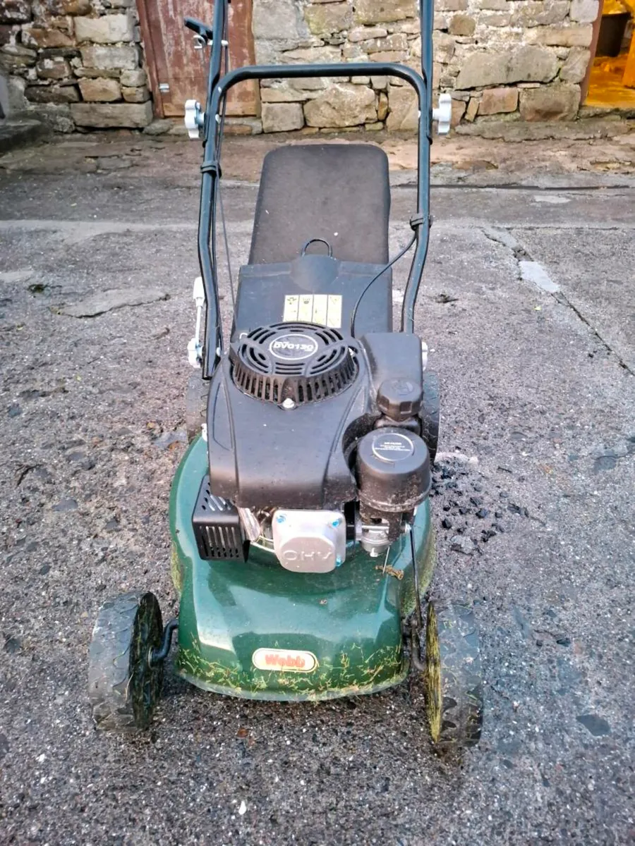 Webb Lawnmower - Image 2