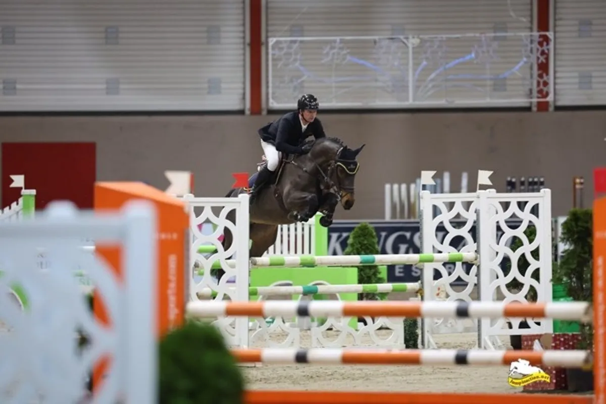 Large selection of showjumpers available - Image 1