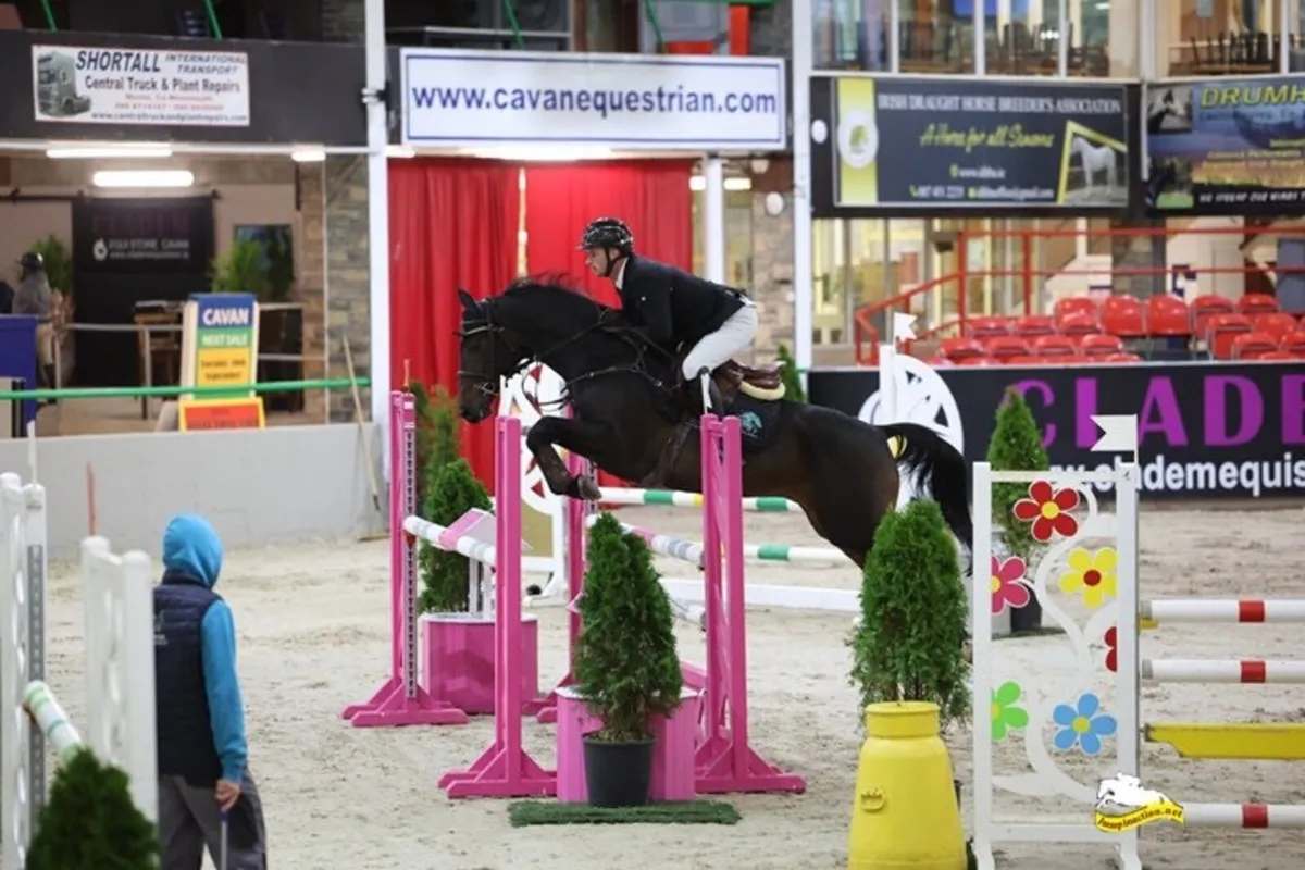 Large selection of showjumpers available - Image 2
