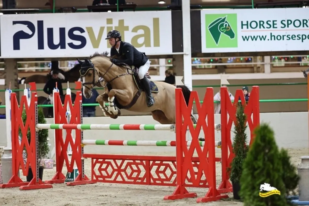 Large selection of showjumpers available - Image 4