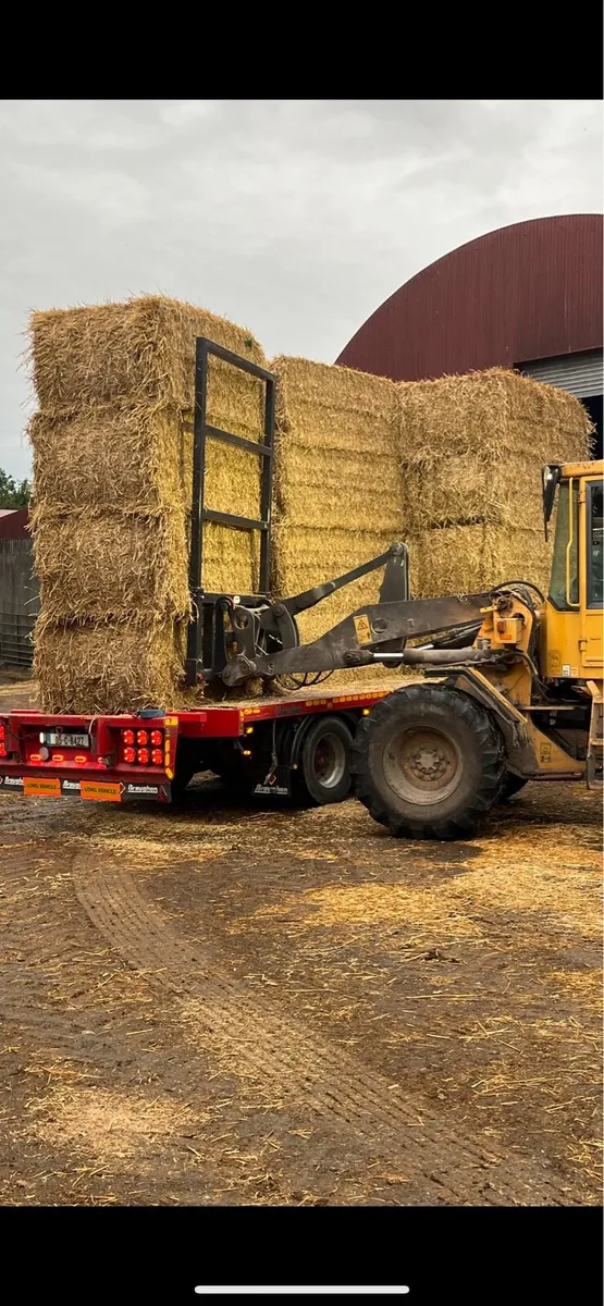 Chopped  straw - Image 1