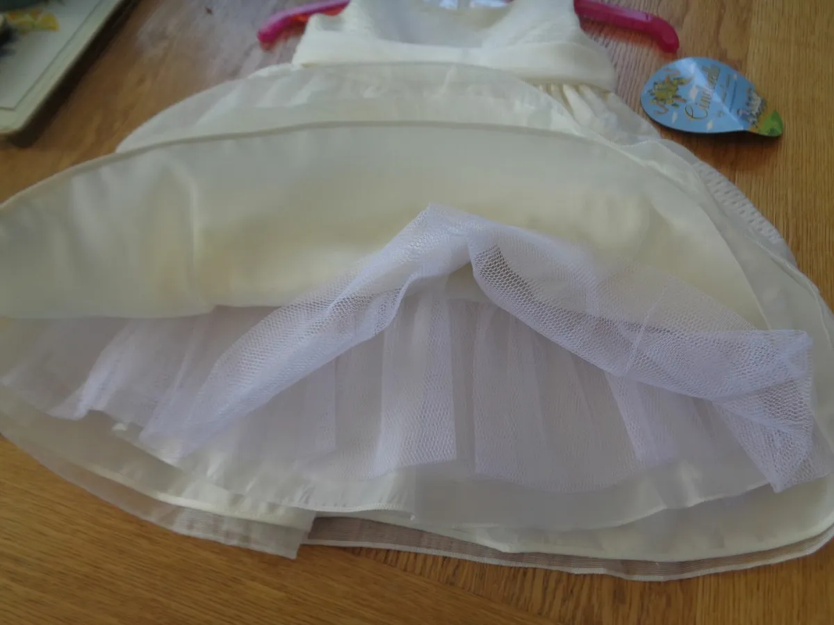 Cinderella Dress for Sale - Image 3