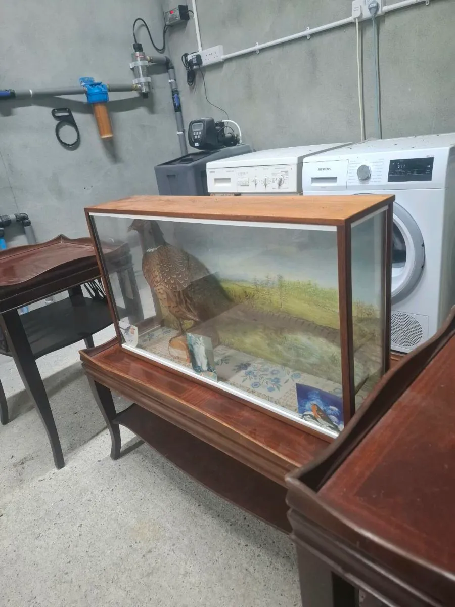 Household Furniture - Image 1