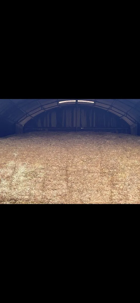 1st Cut Silage - Image 1