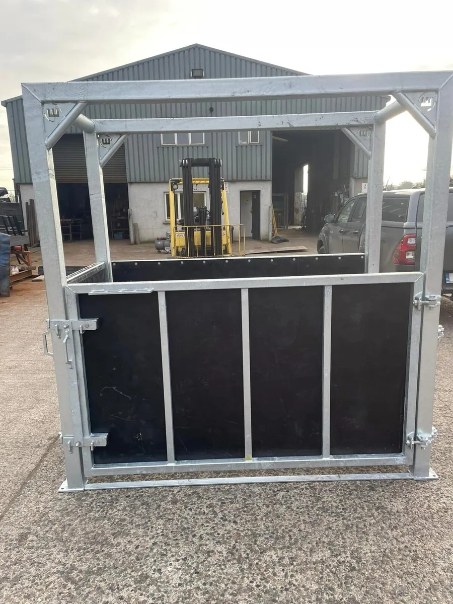 Horse stocks - Image 4