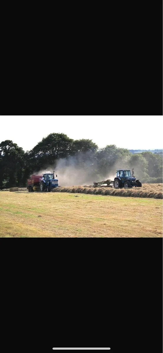 Hay square bales - Image 1