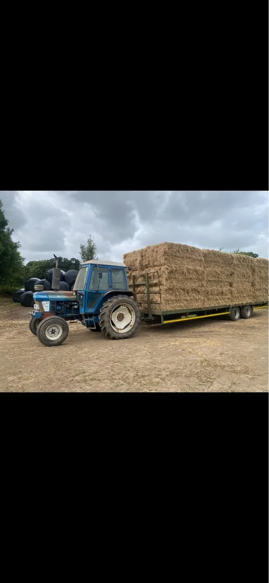 Hay square bales - Image 4