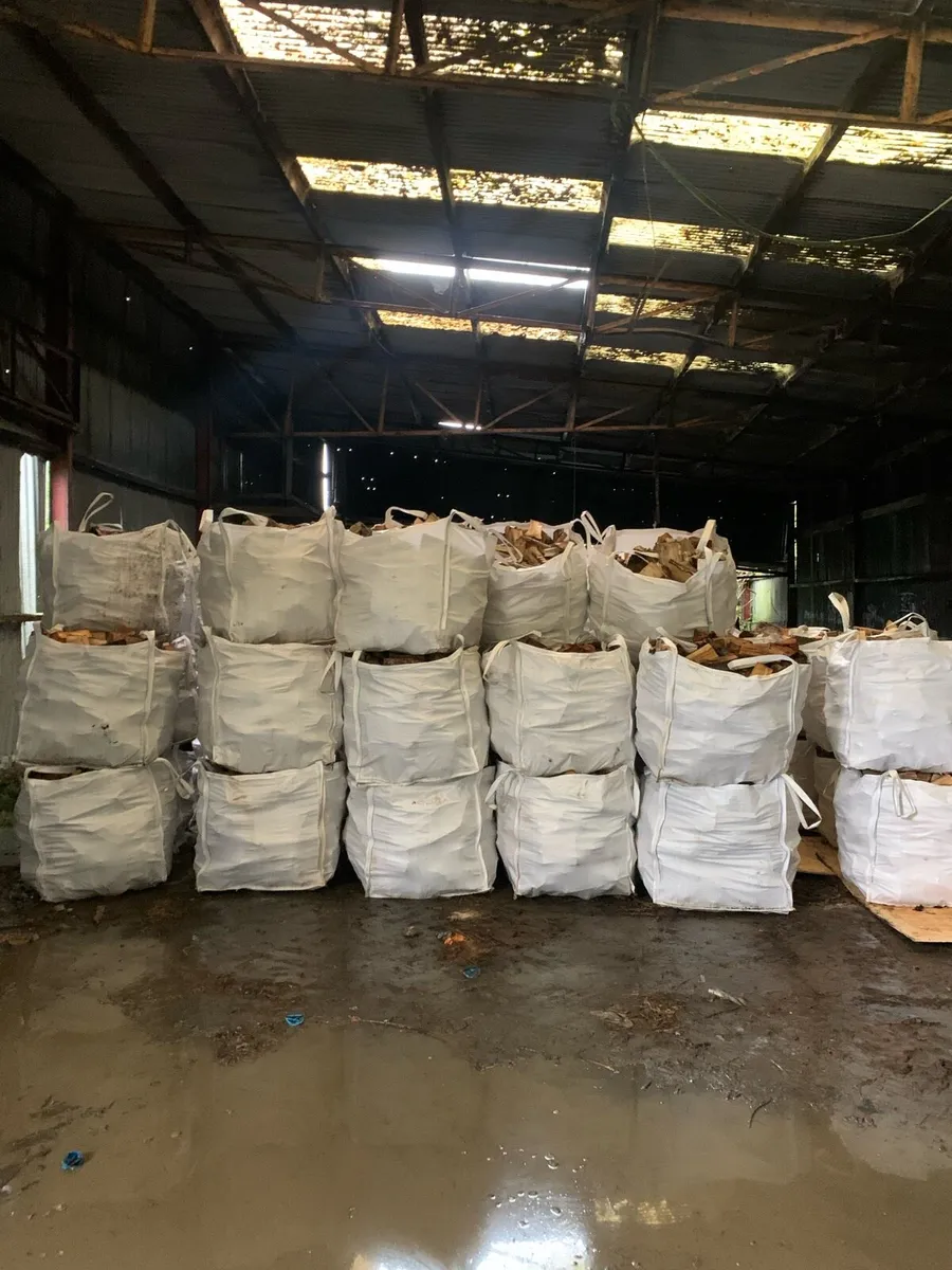 Hardwood logs - Image 1