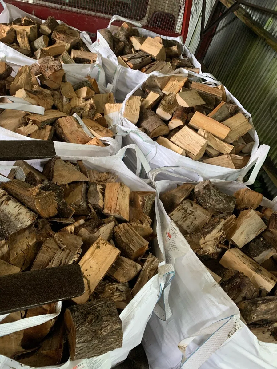 Hardwood logs - Image 2