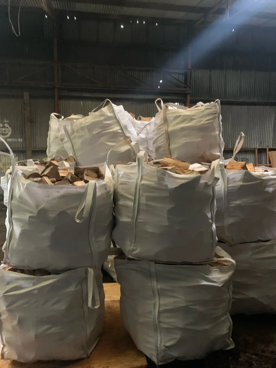 Hardwood logs - Image 3