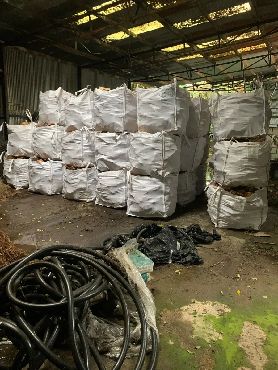 Hardwood logs - Image 4