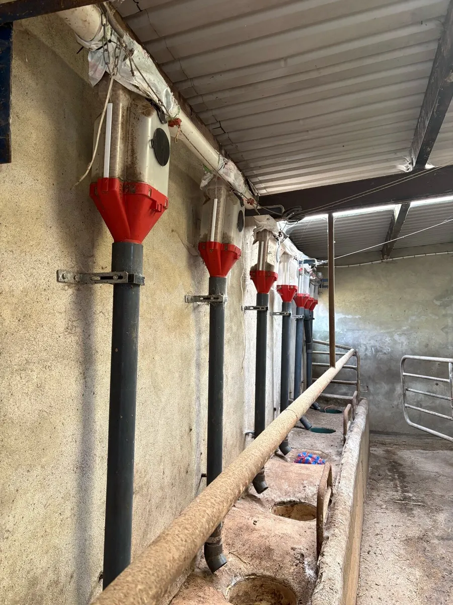 12 IDS Parlour Feeders - Image 1