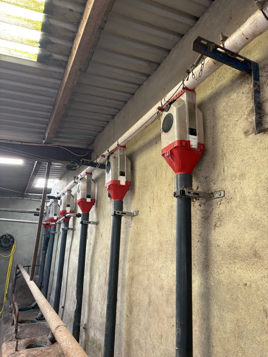 12 IDS Parlour Feeders - Image 2