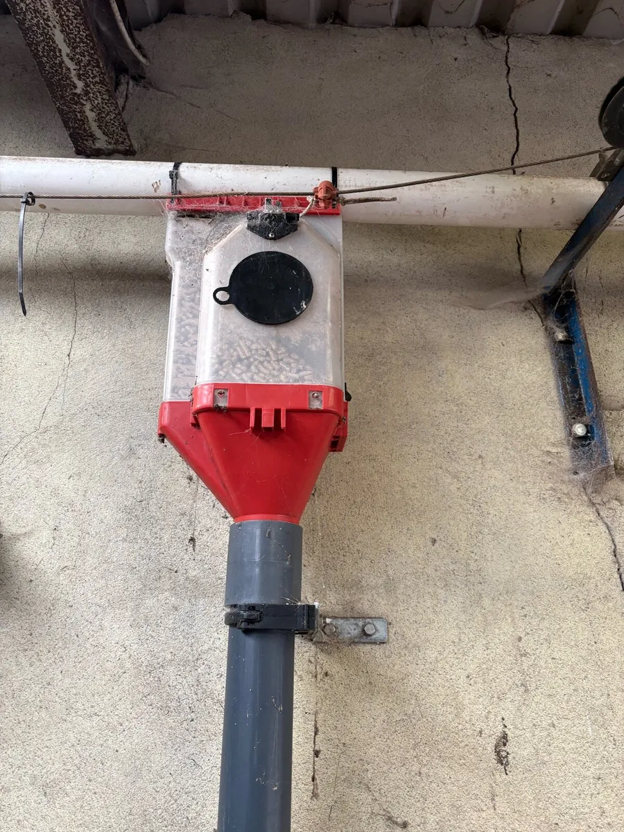 12 IDS Parlour Feeders - Image 3