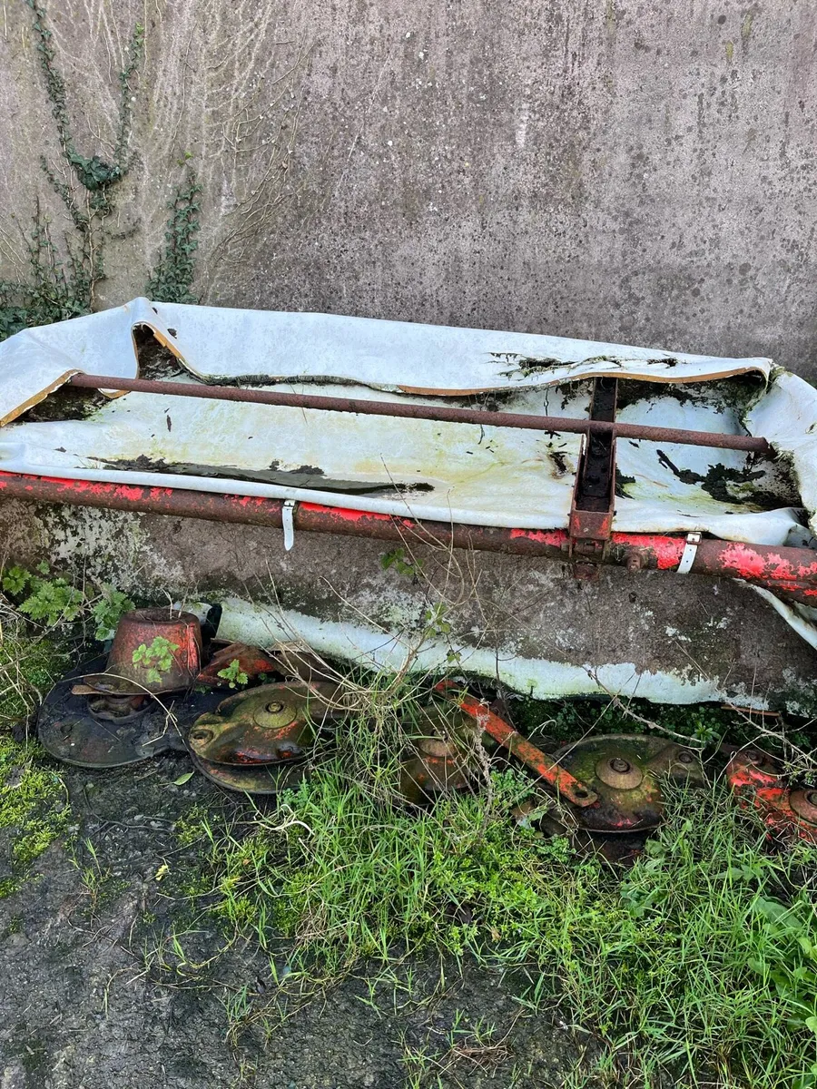 Projects read ad - Image 2