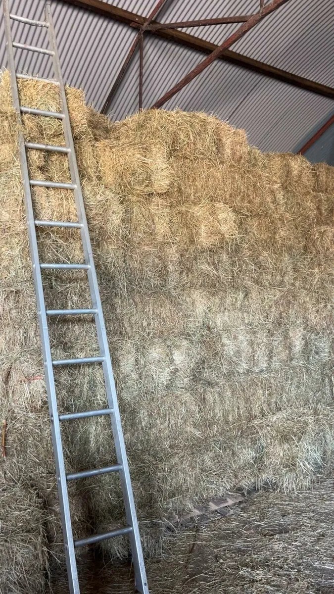 Square bale of hay - Image 4