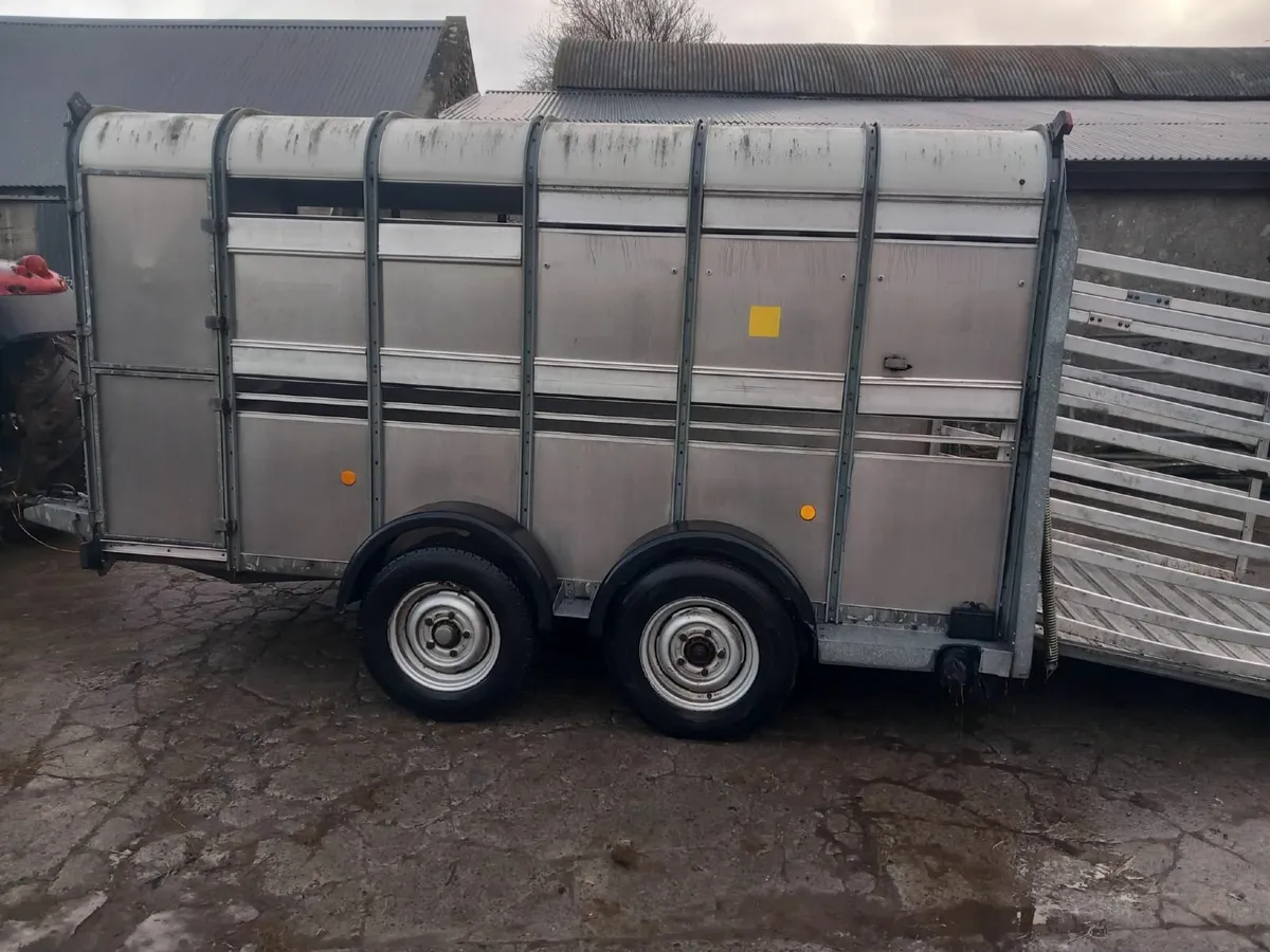 Cattle Trailer - Image 1