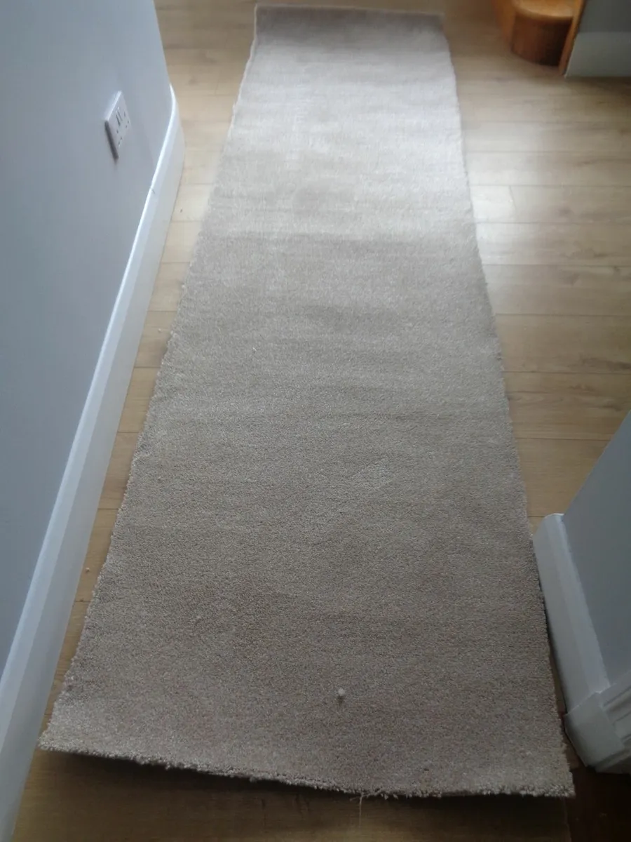 Carpet Remenant for Sale - Image 1