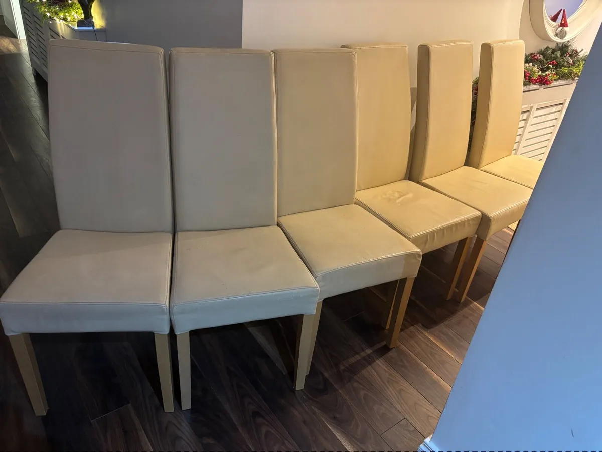 Dining Room Chairs x 6 - Image 1