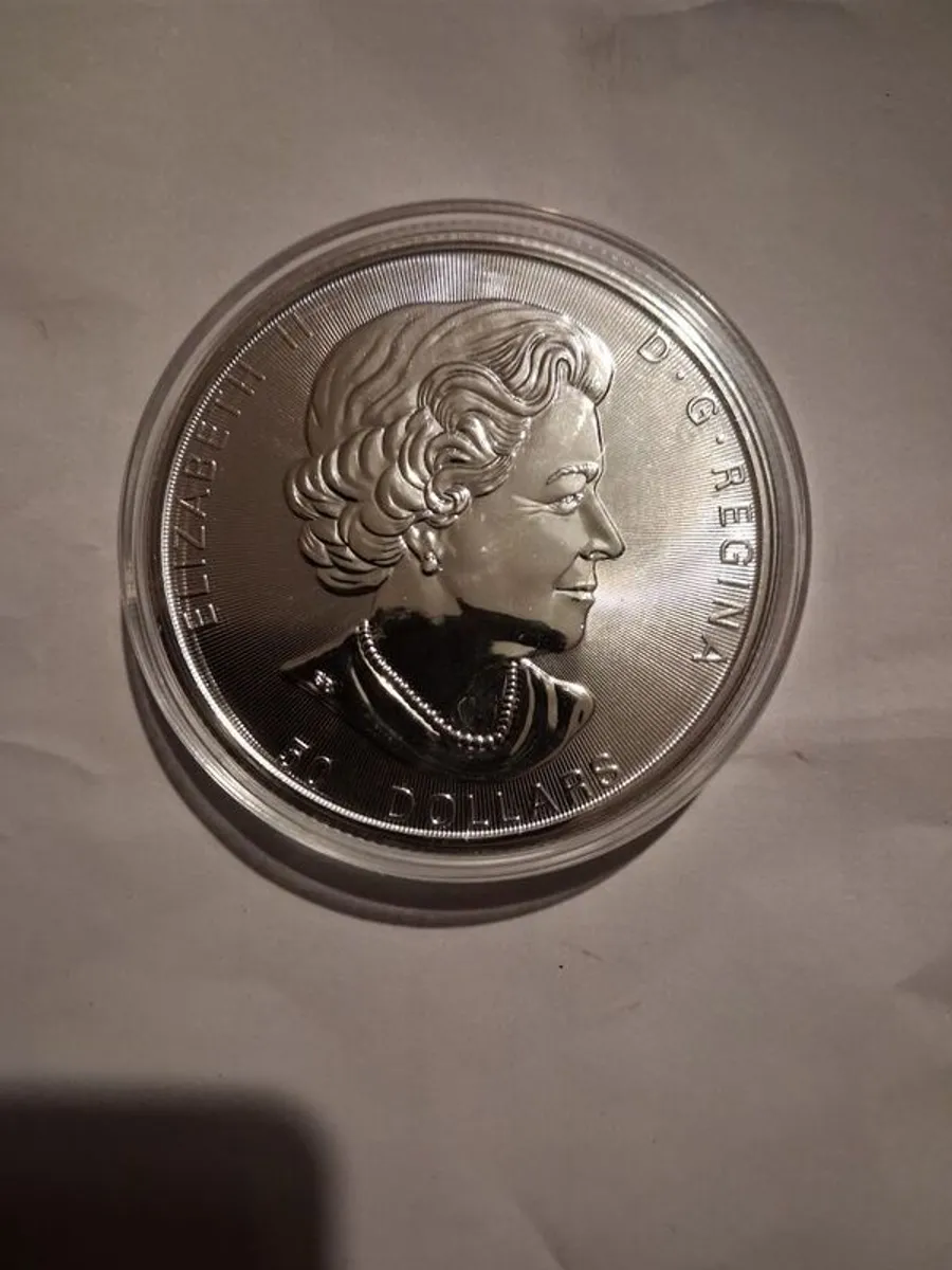 10 oz silver coins - Image 3