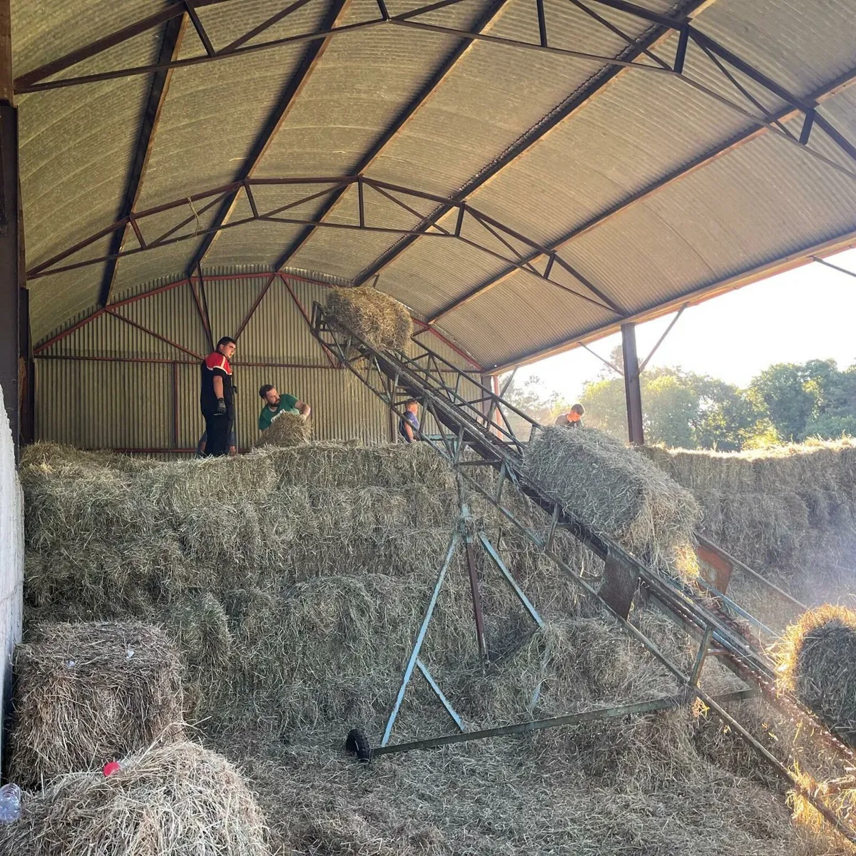 Small bales of hay - Image 3