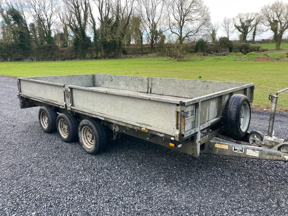 Ifor Williams - Image 1