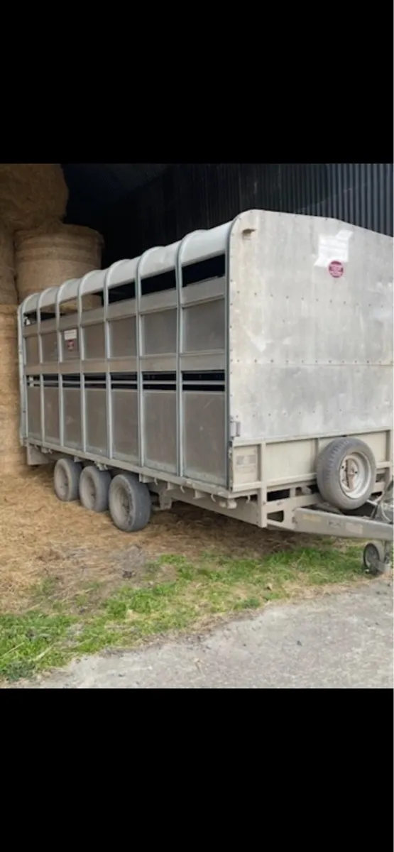 Ifor Williams canopy/trailer - Image 2