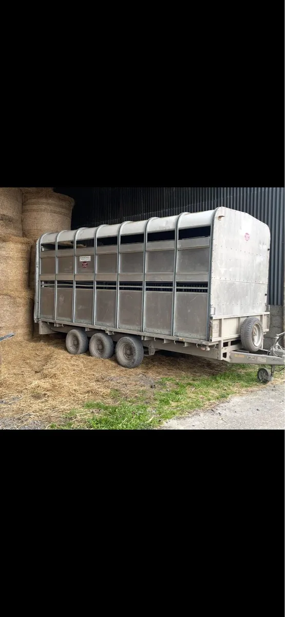 Ifor Williams canopy/trailer - Image 3