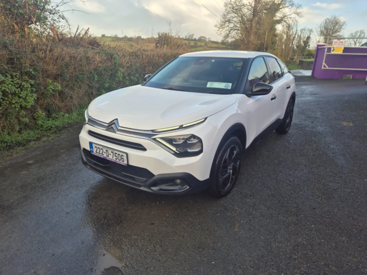 Citroen C4 FEEL BLUEHDI 110 COMMERCIAL MY22. MY22. - Image 1